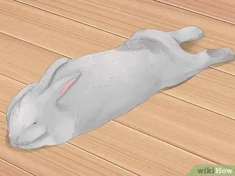 Image titled Understand Your Rabbit Step 5