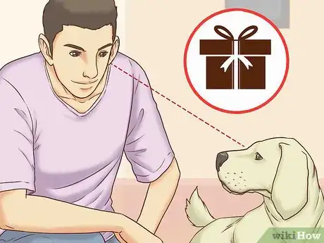 Image titled Get Your Dog's Attention Step 8