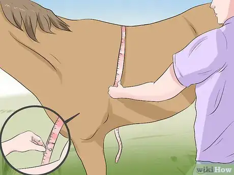 Image titled Use a Tape to Weigh a Horse Step 6
