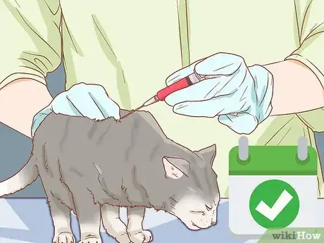 Image titled Prevent Worms in Cats Step 2