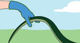 Catch a Snake