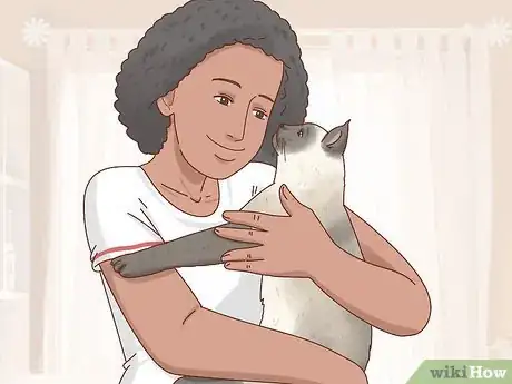 Image titled Decide if a Siamese Cat Is Right for You Step 1
