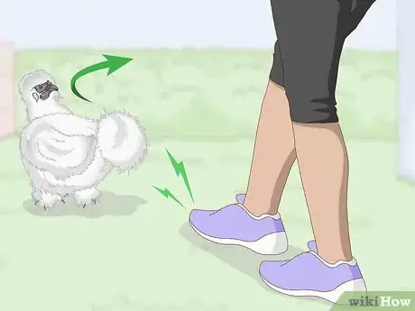 Image titled Pet a Chicken Step 4