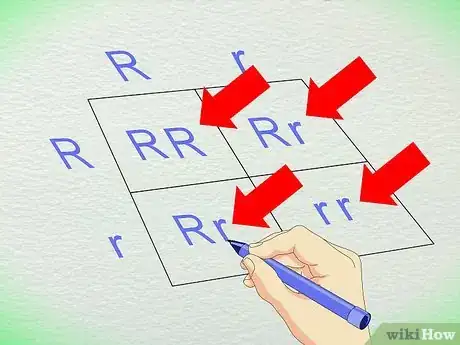 Image titled Work With Punnett Squares Step 7