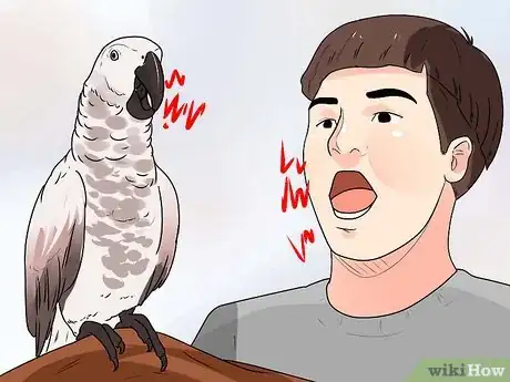 Image titled Train Parrots to Make Less Noise Step 15