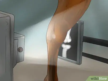 Image titled Tell if Your Horse Needs Hock Injections Step 17