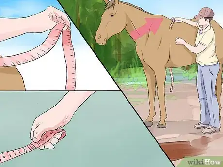 Image titled Use a Tape to Weigh a Horse Step 3