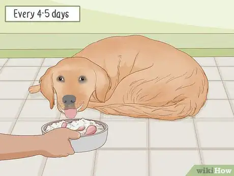 Image titled Prepare Home Cooked Food for Your Dog Step 12