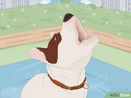 Image titled Why Do Dogs Howl at Sirens Step 2