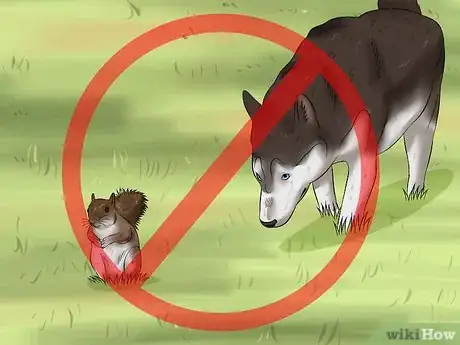 Image titled Prevent Rabies in Dogs Step 5