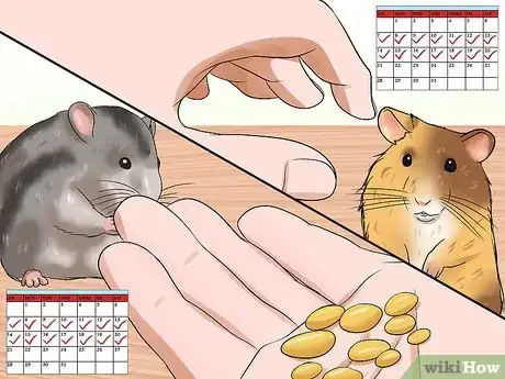 Image titled Handle a Hamster Without Being Bitten Step 14