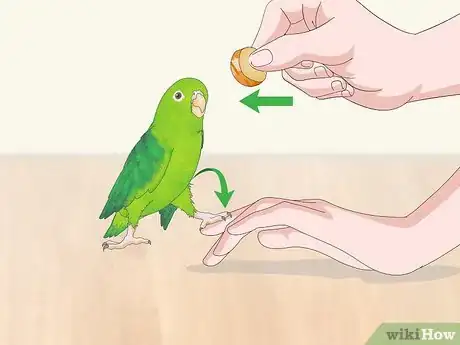 Image titled Interact with Your Parrotlet Step 5