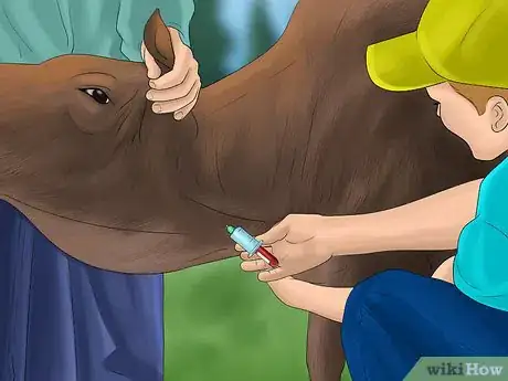 Image titled Take Blood Samples from Cattle Step 15