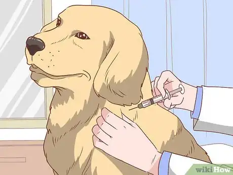 Image titled Treat a Dog Bite Step 9