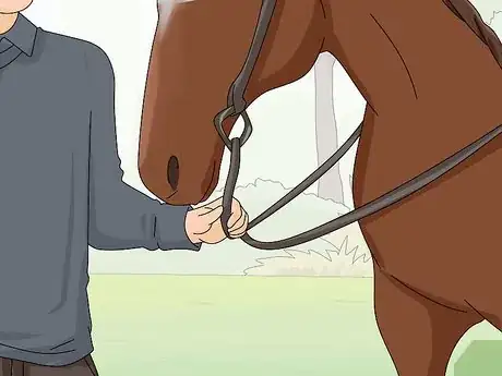 Image titled Teach Your Horse to Stop Biting Step 9