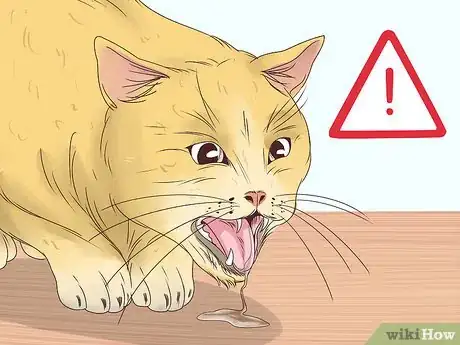 Image titled Handle Nicotine Poisoning in Cats Step 1