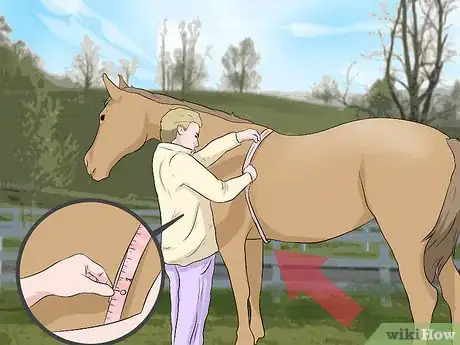Image titled Use a Tape to Weigh a Horse Step 4