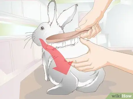 Image titled Keep a Rabbit Clean Step 1