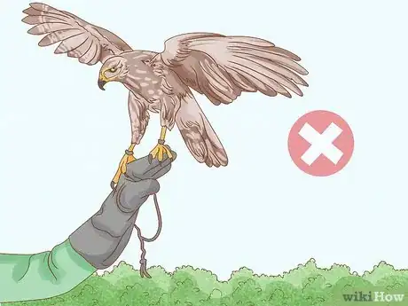 Image titled Catch a Hawk Step 10