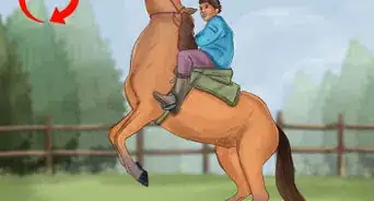 Teach a Horse to Rear