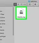 Open an Img File on PC or Mac