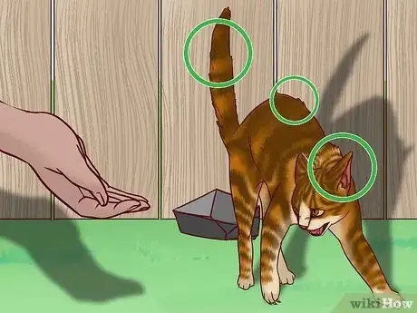 Image titled Speak Cat Step 9