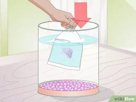 Image titled Maintain a Jellyfish Tank Step 11