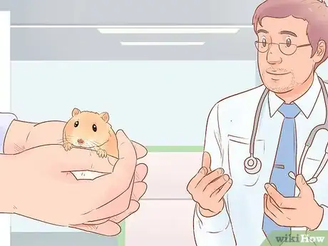 Image titled Care for Dwarf Hamsters Step 13