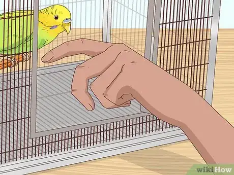 Image titled Take Care of a Budgie Step 11