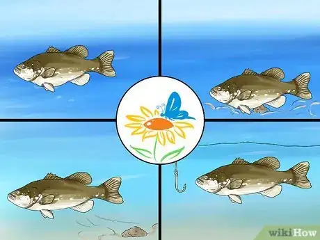 Image titled Fish for Bass Step 1