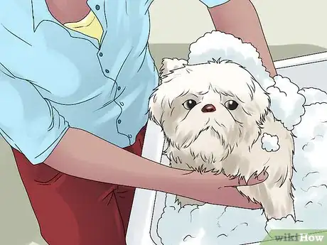 Image titled Bathe a Shih Tzu Step 6