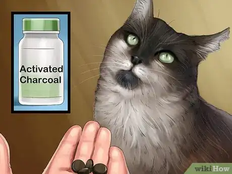 Image titled Handle Nicotine Poisoning in Cats Step 5