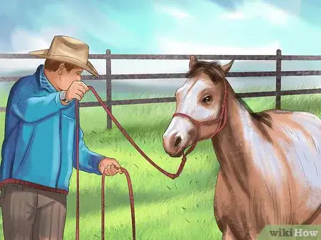 Image titled Bond With Your Horse Using Natural Horsemanship Step 6