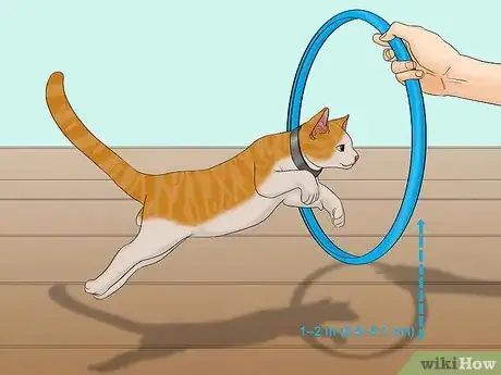 Image titled Train a Cat to Jump Through a Hoop Step 7