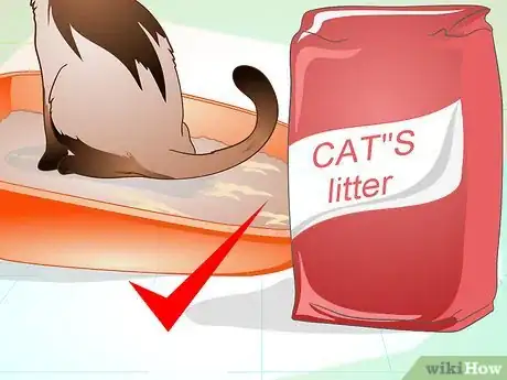 Image titled Maintain Your Kitten's Litter Box Step 13