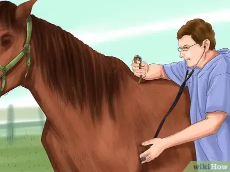 Image titled Recognize and Treat Laminitis (Founder) in Horses Step 4