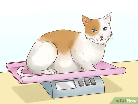 Image titled Count Calories in Your Cat's Food Step 11