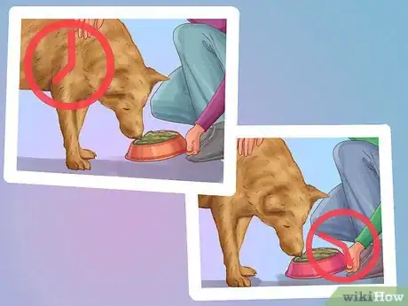 Image titled Be a Responsible Dog Owner Step 1