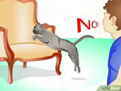 Image titled Train a Cat Not to Jump on Your Furniture Step 2