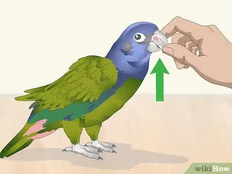 Image titled Pet a Bird Step 5