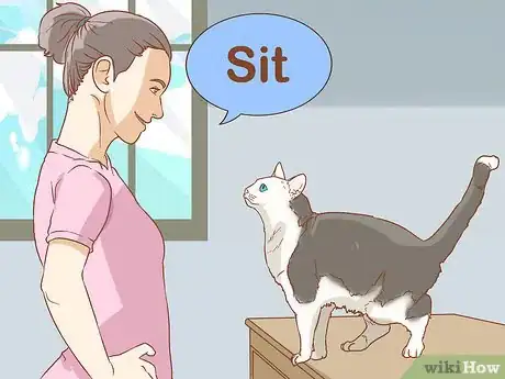 Image titled Teach Your Cat to Sit Step 2