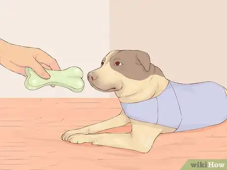 Image titled Handle a Biting Dog Step 12