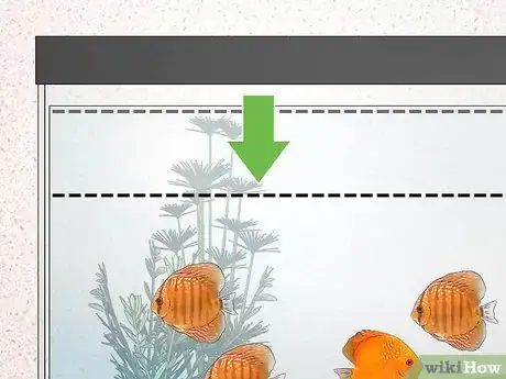 Image titled Breed Discus Step 13