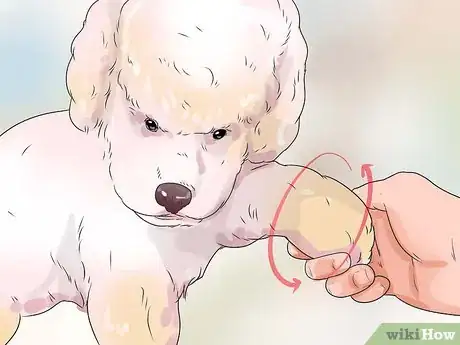 Image titled Treat a Sprain on a Dog Step 9