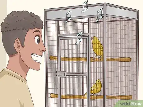 Image titled Choose a Canary Step 10