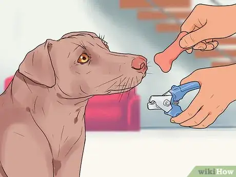 Image titled File a Dog's Nails Step 12