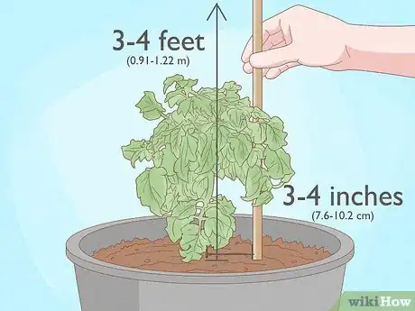 Image titled Grow Tomatoes in Pots Step 9