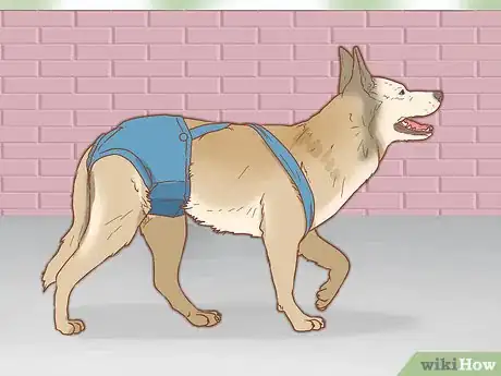 Image titled Diaper Your Dog with Disposable Dog Diapers Step 8