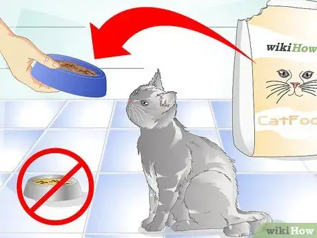 Image titled Get Rid of Cat Dandruff Step 9