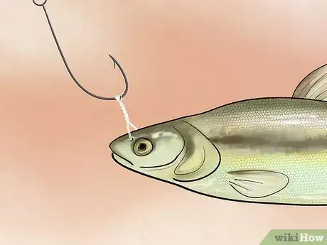Image titled Bait a Fishing Hook Step 25